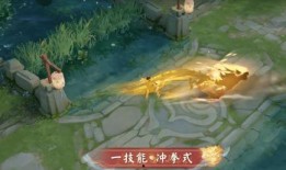 李小龙爆料皮肤视频播放,揭秘皮肤视频幕后制作过程