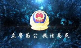 科技熊猫爆料视频大全下载,视频大全下载攻略全解析